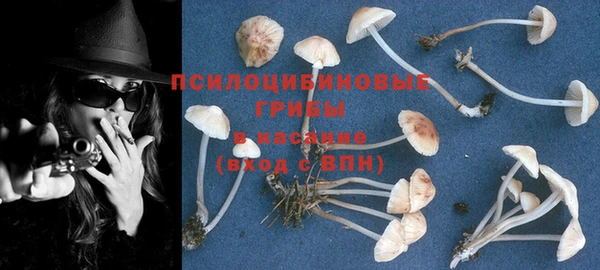 mix Алексин