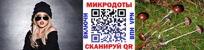 Псилоцибиновые грибы мицелий наркотики Североморск
